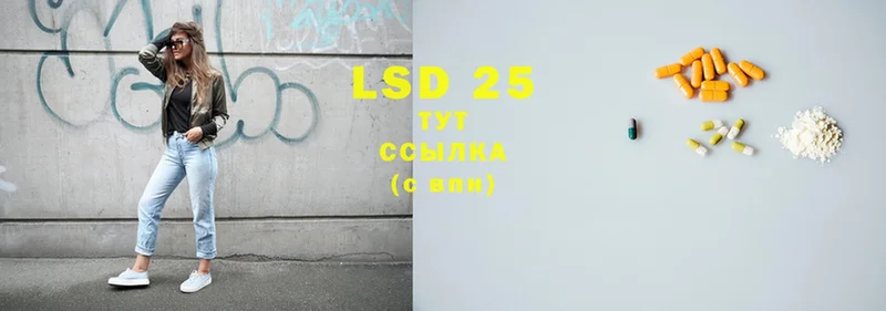 LSD-25 экстази ecstasy  наркошоп  Михайловск 