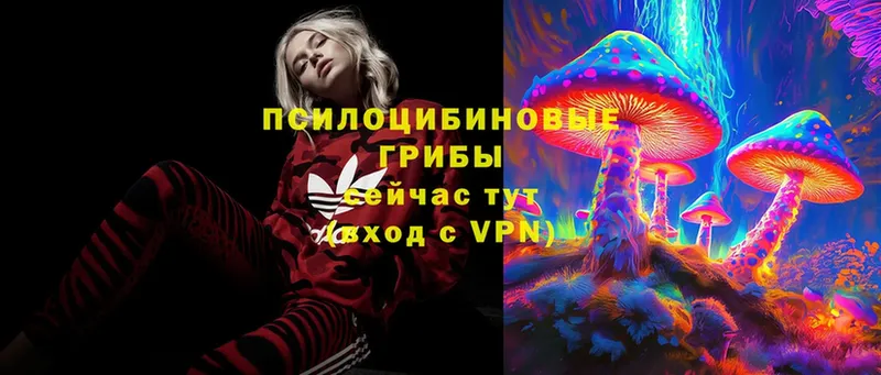 Псилоцибиновые грибы MAGIC MUSHROOMS  mega как войти  Михайловск 